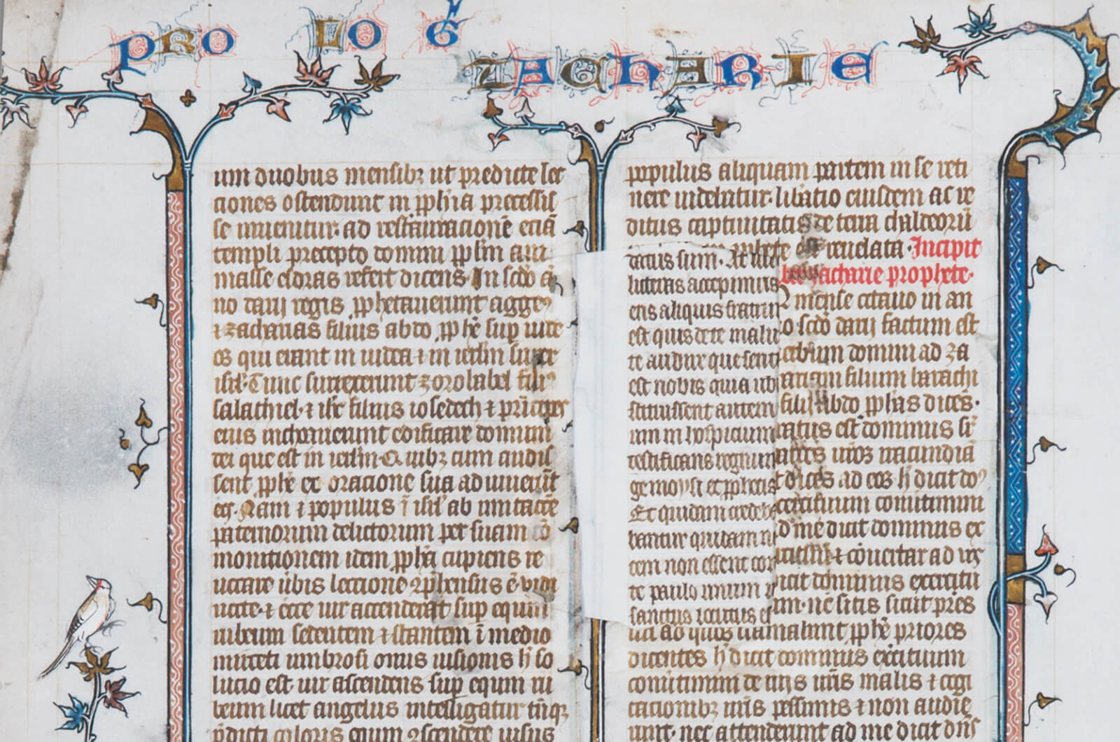 양피지에 손으로 쓴 성서(연대 미상) 이미지