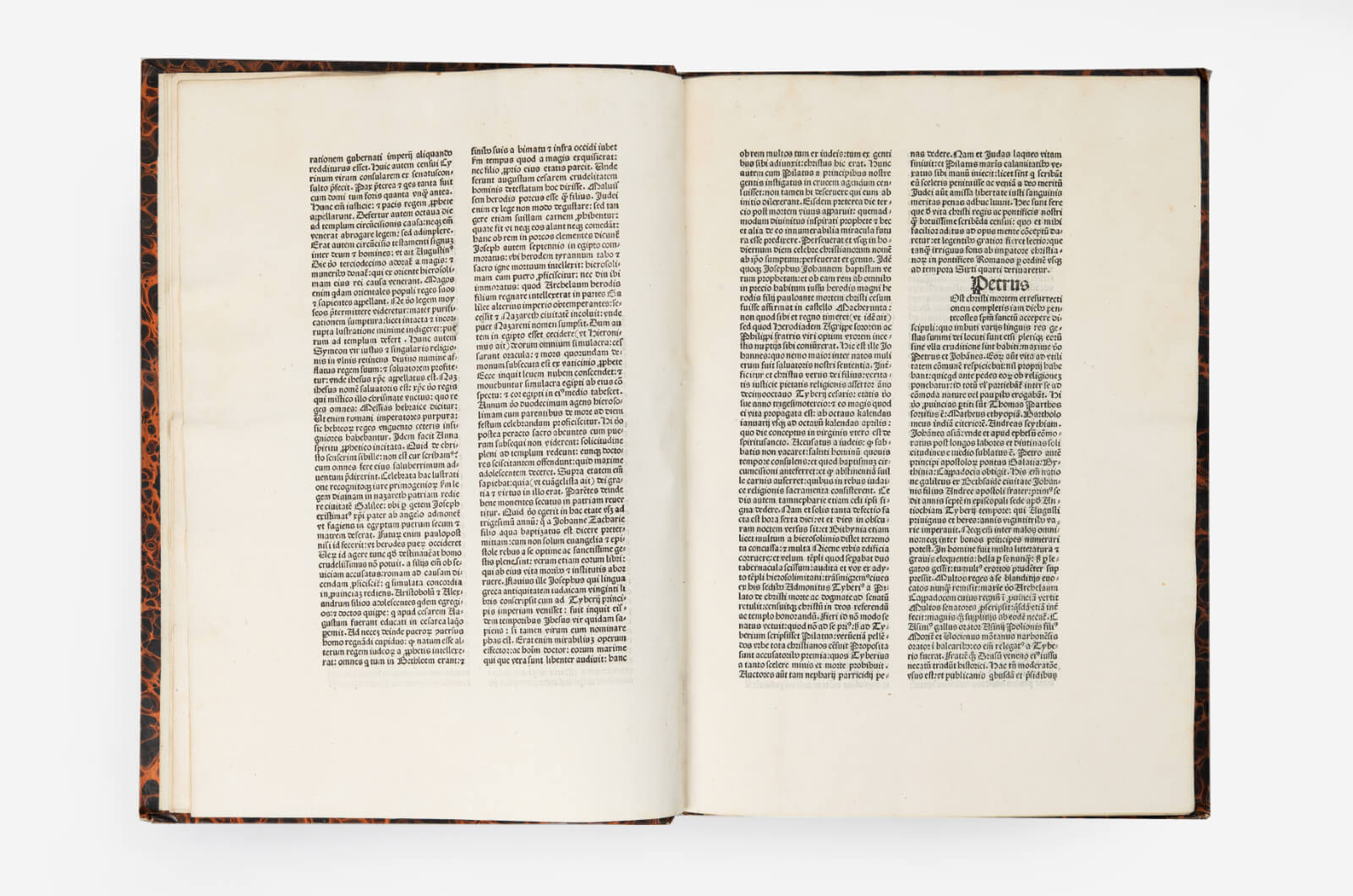 예수의 삶(1481) 이미지